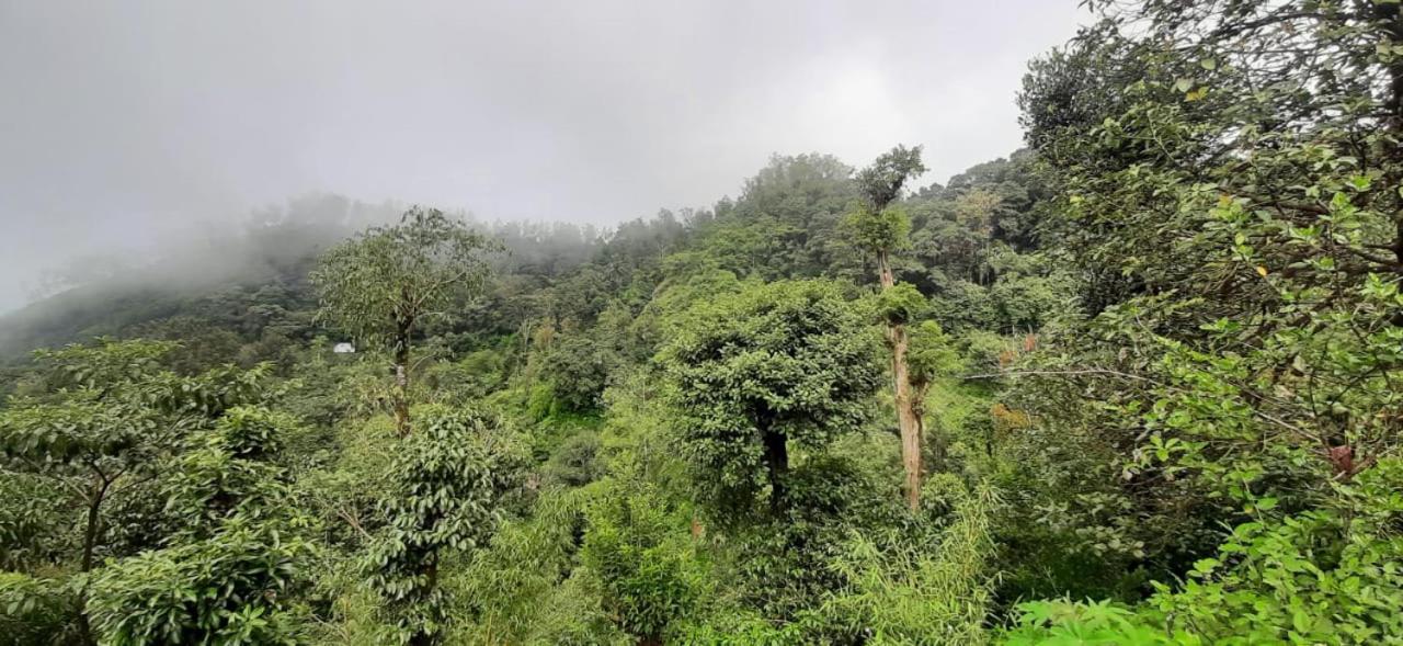 Spinson Home Stay Madikeri Kültér fotó